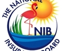 NIB Telephone System Tender