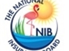 NIB Provides Customer Service at The Thomas A. Robinson Stadium For New Providence Claimants